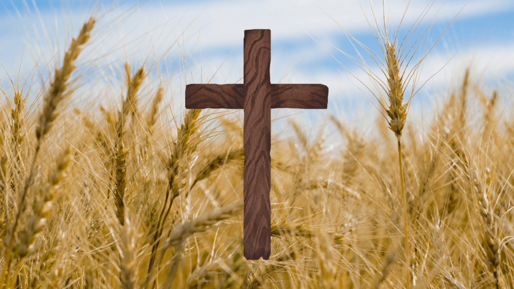 He Has A Plan In Your&nbsp;Suffering